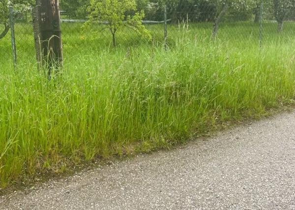 Stavebný pozemok Bystrička cca 3000m2 vhodný pre developera